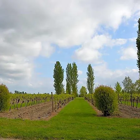 Bed & Breakfast Logis Des Bessons Migron